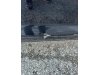 Slika 20 - Audi A3 1.6 TDI  - MojAuto