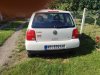 Slika 4 - VW Lupo   - MojAuto