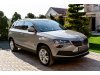 Slika 3 - Škoda Karoq 1.0 tsi  - MojAuto