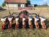 Slika 2 - KUHN planter 7 redi - MojAuto