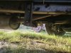 Slika 12 - Iveco daily - MojAuto