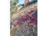 Slika 3 - IMT Sunce  - MojAuto
