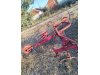 Slika 2 - IMT Sunce  - MojAuto