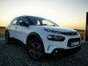 Slika 7 - Citroen C4 Cactus 1.5BlueHdi Business   - MojAuto