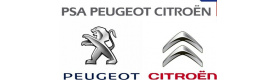 Auto plac Peugeot Citroen Delovi Barič